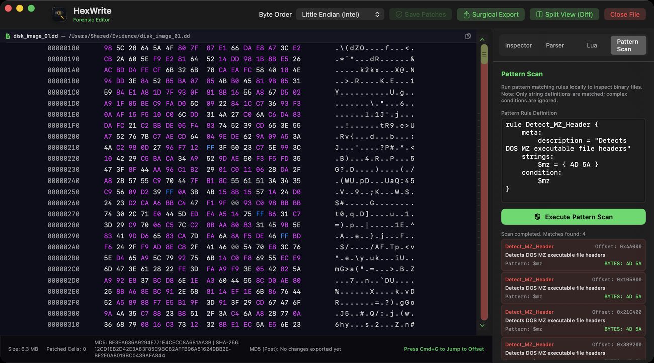 HexWrite Pattern Scan finding four matches of a literal byte rule across a disk image, each with its offset and matched bytes
