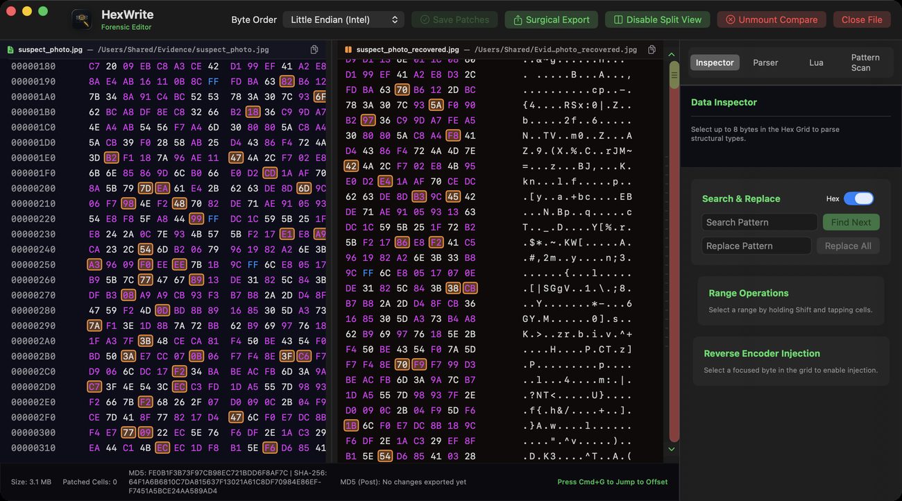 HexWrite Split View diffing two binary files side by side with differing bytes highlighted in both panes